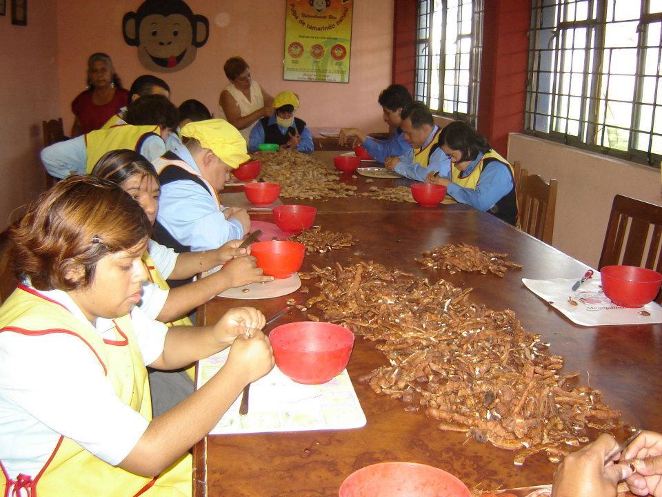 492363737 2957113061116591 5642264982732806104 N